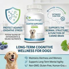 Nutrition Strength texture du comprimé mettant en valeur absorption et qualité