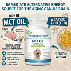 Nutrition Strength huile de coco pressée à froid illustrant pureté et acides gras MCT