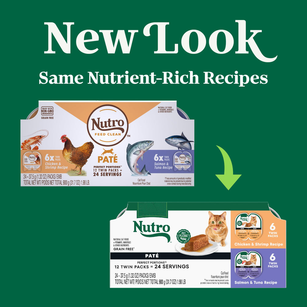 Nutro gros plan sur la texture pâté, appétissante et humide