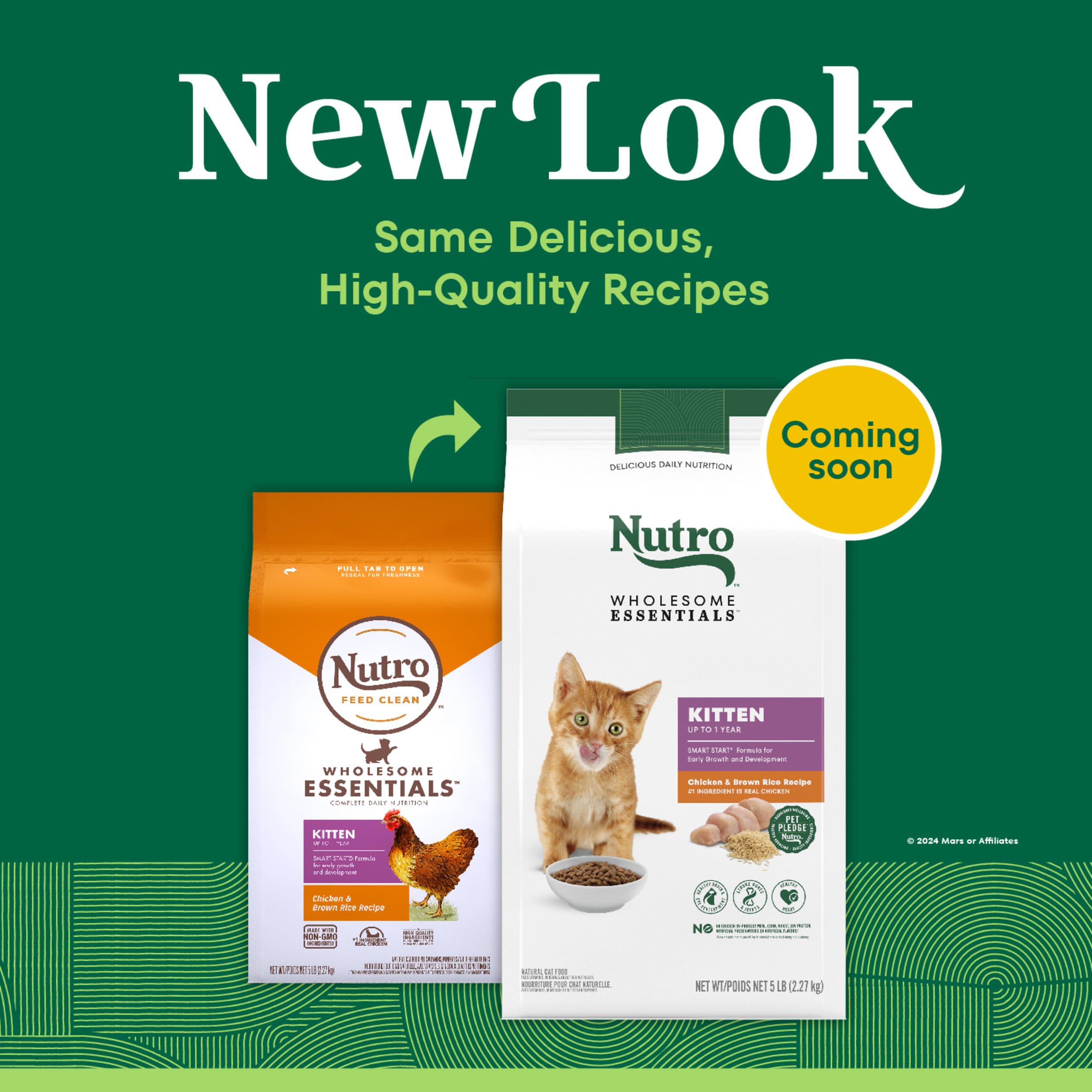 Nutro bol plein illustrant portion adaptée pour un chaton actif