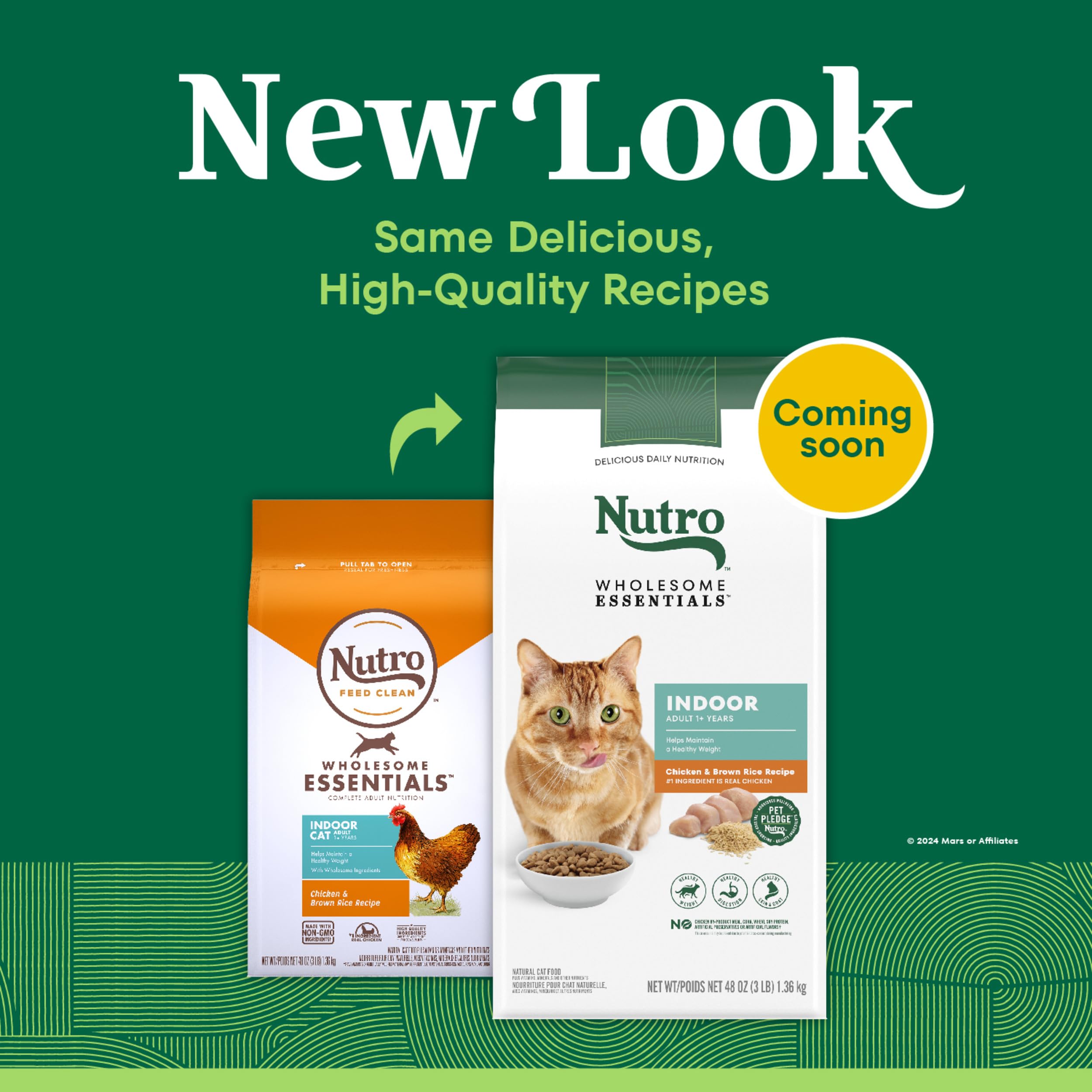 Nutro bol rempli de croquettes prêt à servir pour chat d'intérieur heureux