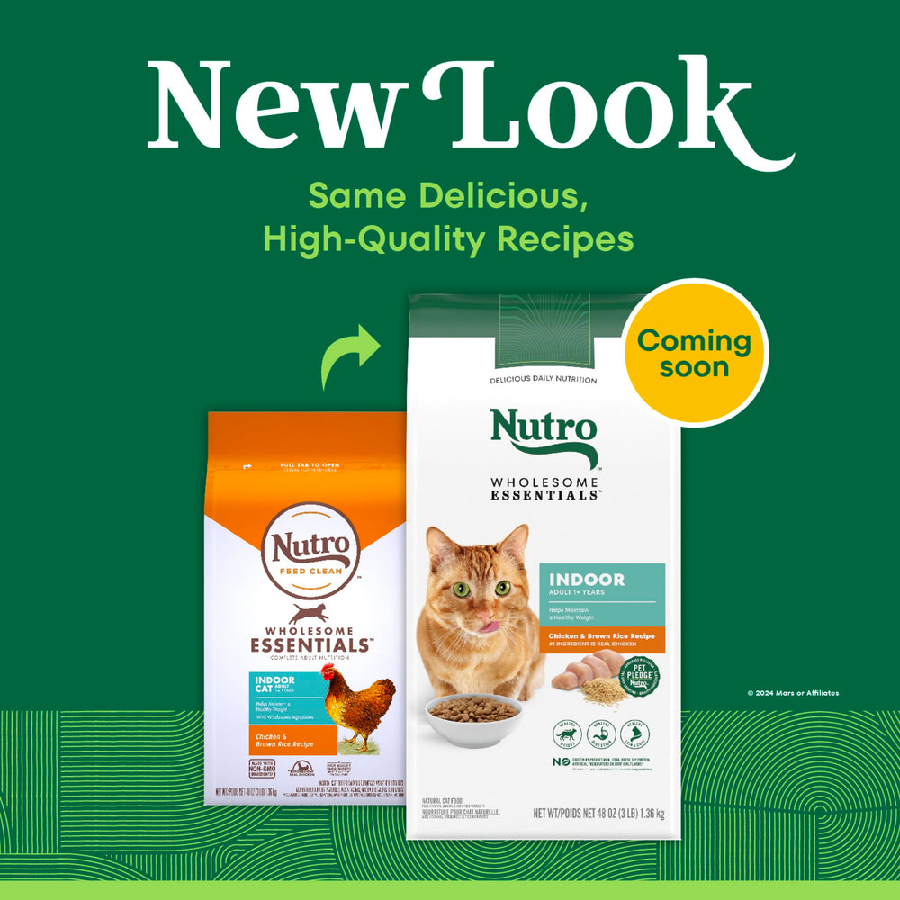 Nutro bol rempli de croquettes prêt à servir pour chat d'intérieur heureux