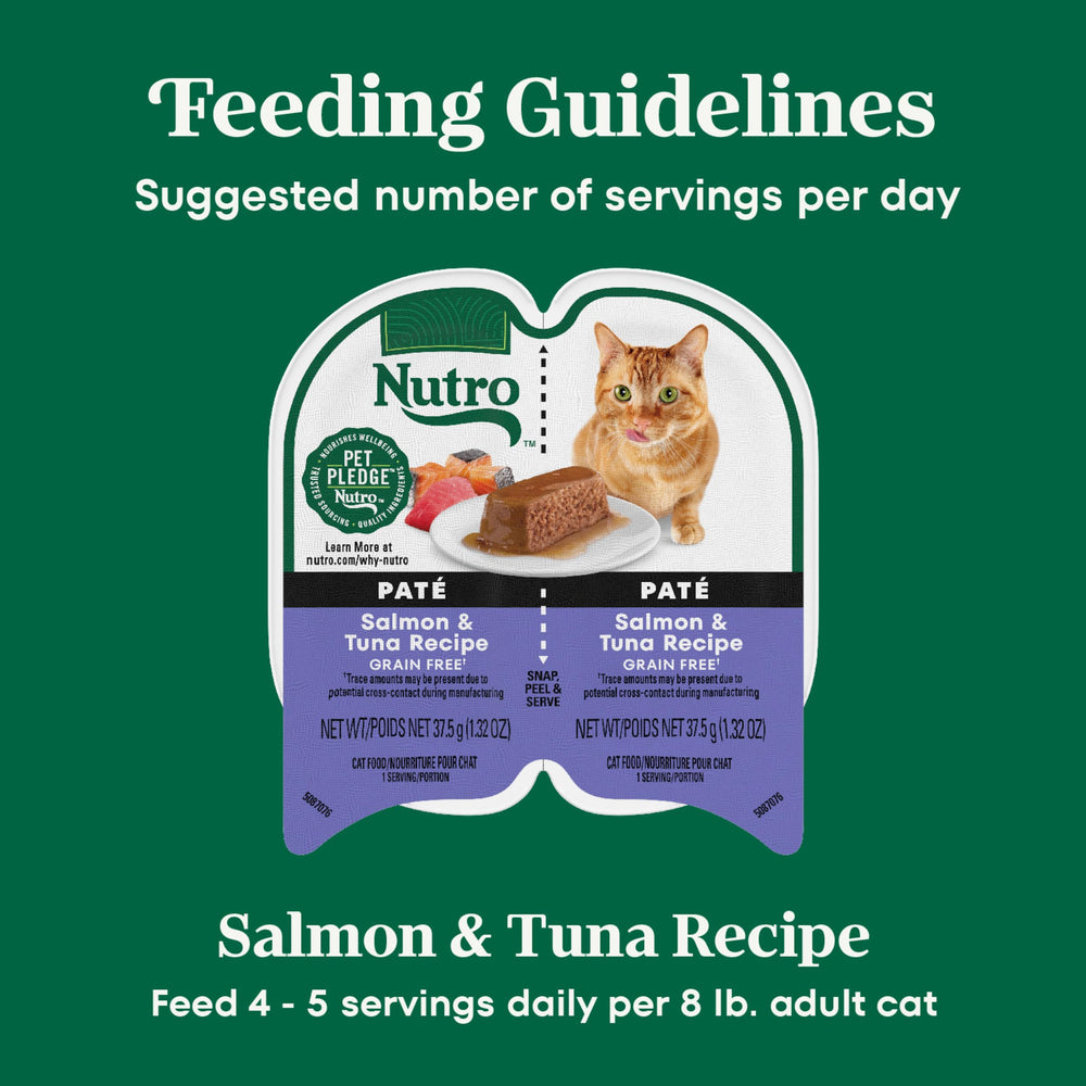 Nutro chat mange en cuisine montrant acceptation et plaisir du chat