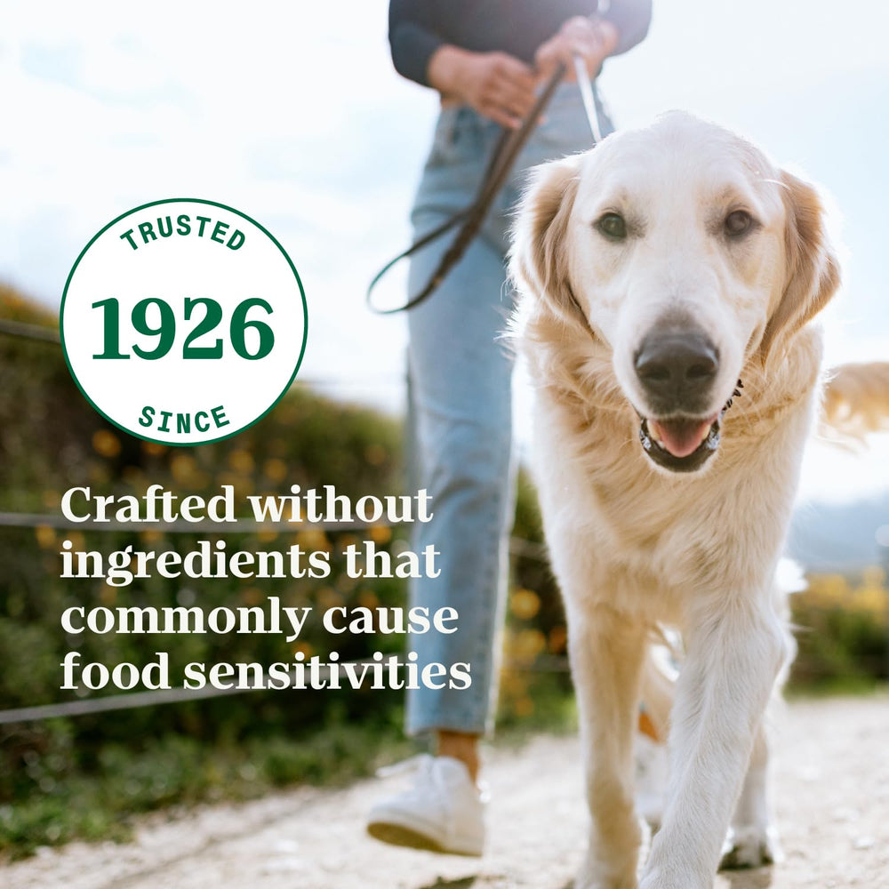 Nutro scène lifestyle chien mangeant dans cuisine, repas attrayant