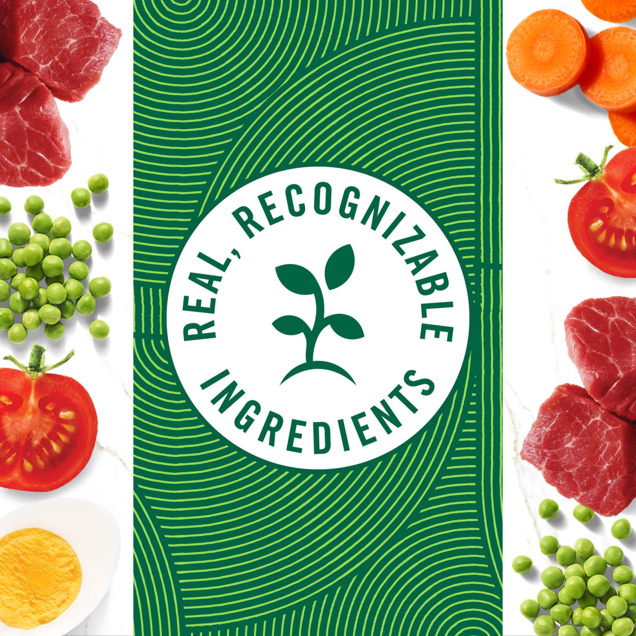 Nutro étiquette nutritionnelle lisible, informations claires pour les propriétaires