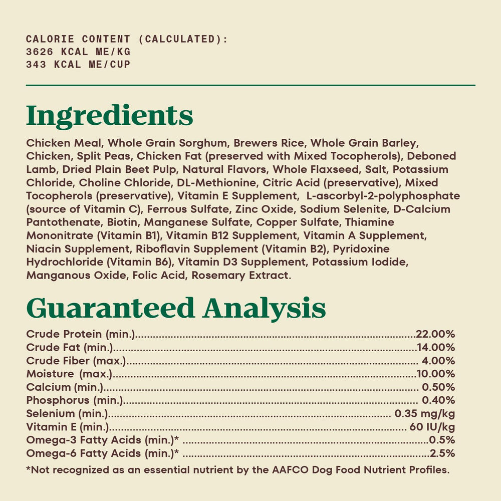 Nutro chien mange en extérieur illustrant alimentation active