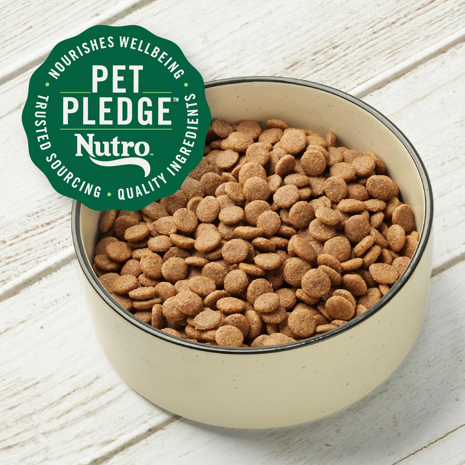 Nutro chien mangeant au bol illustrant appétence et vitalité