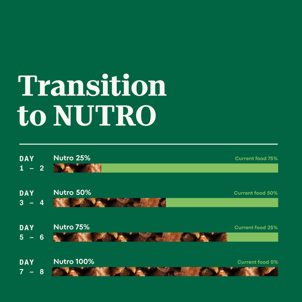 Nutro pack de 24 boîtes empilées, stock pratique pour usage quotidien