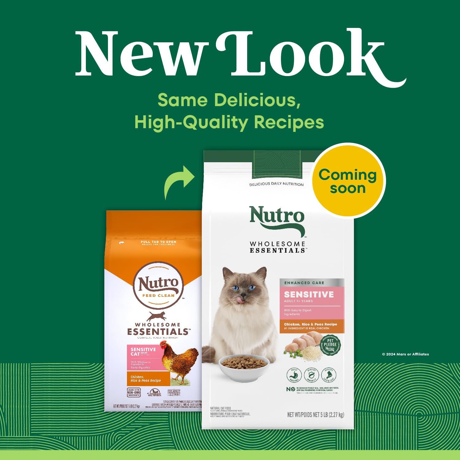 Nutro plat servi montrant un repas appétent et une nutrition équilibrée