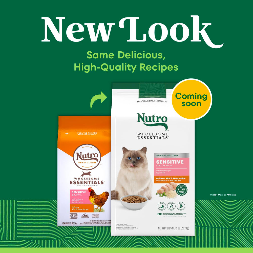 Nutro plat servi montrant un repas appétent et une nutrition équilibrée