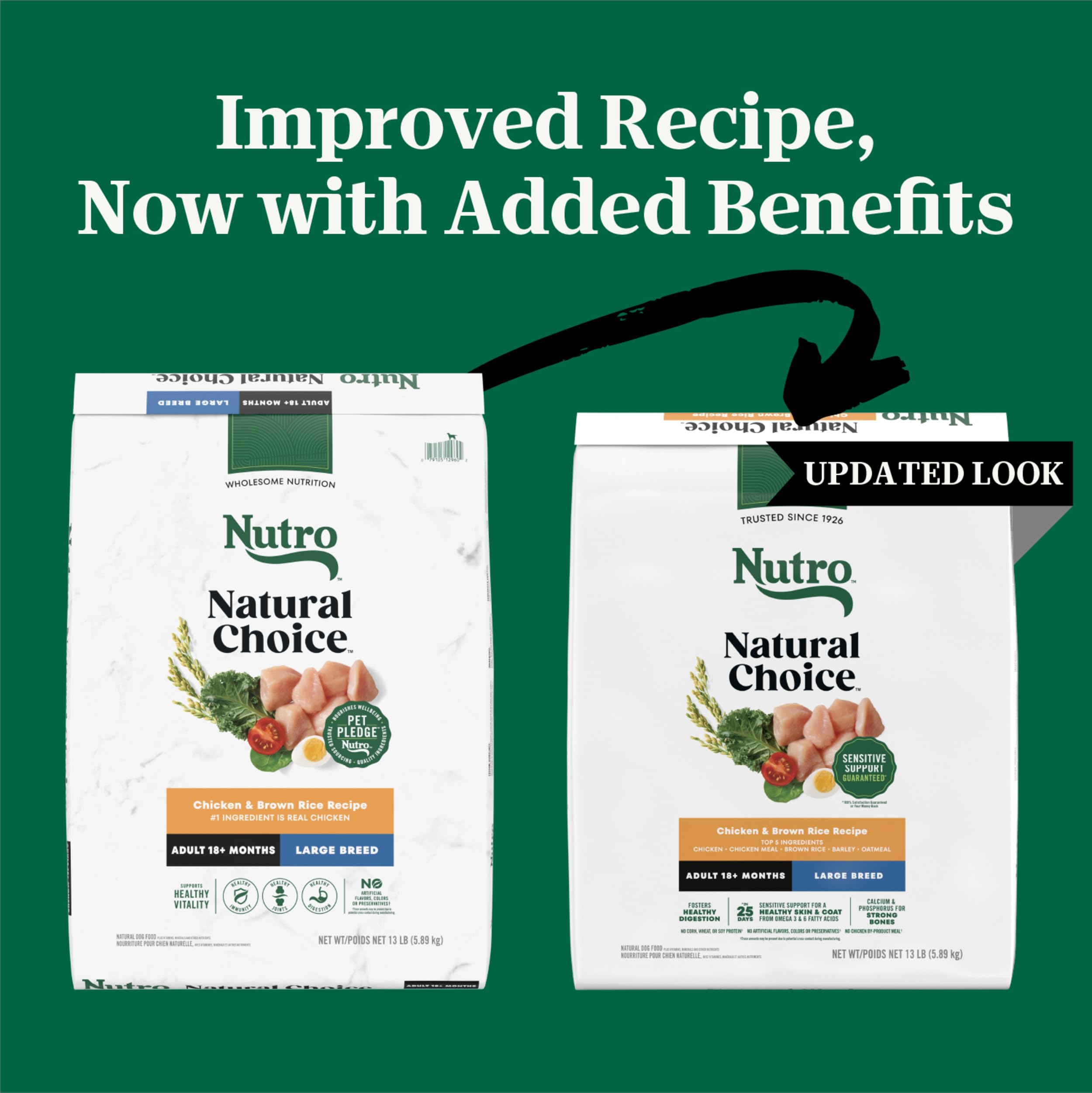 Nutro gros plan sur croquettes montrant texture et appétence