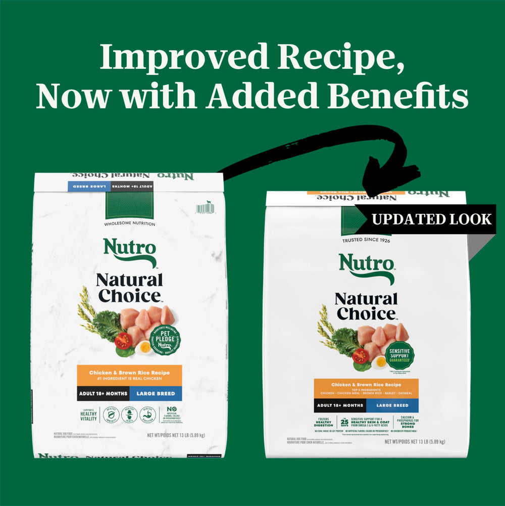 Nutro gros plan sur croquettes montrant texture et appétence