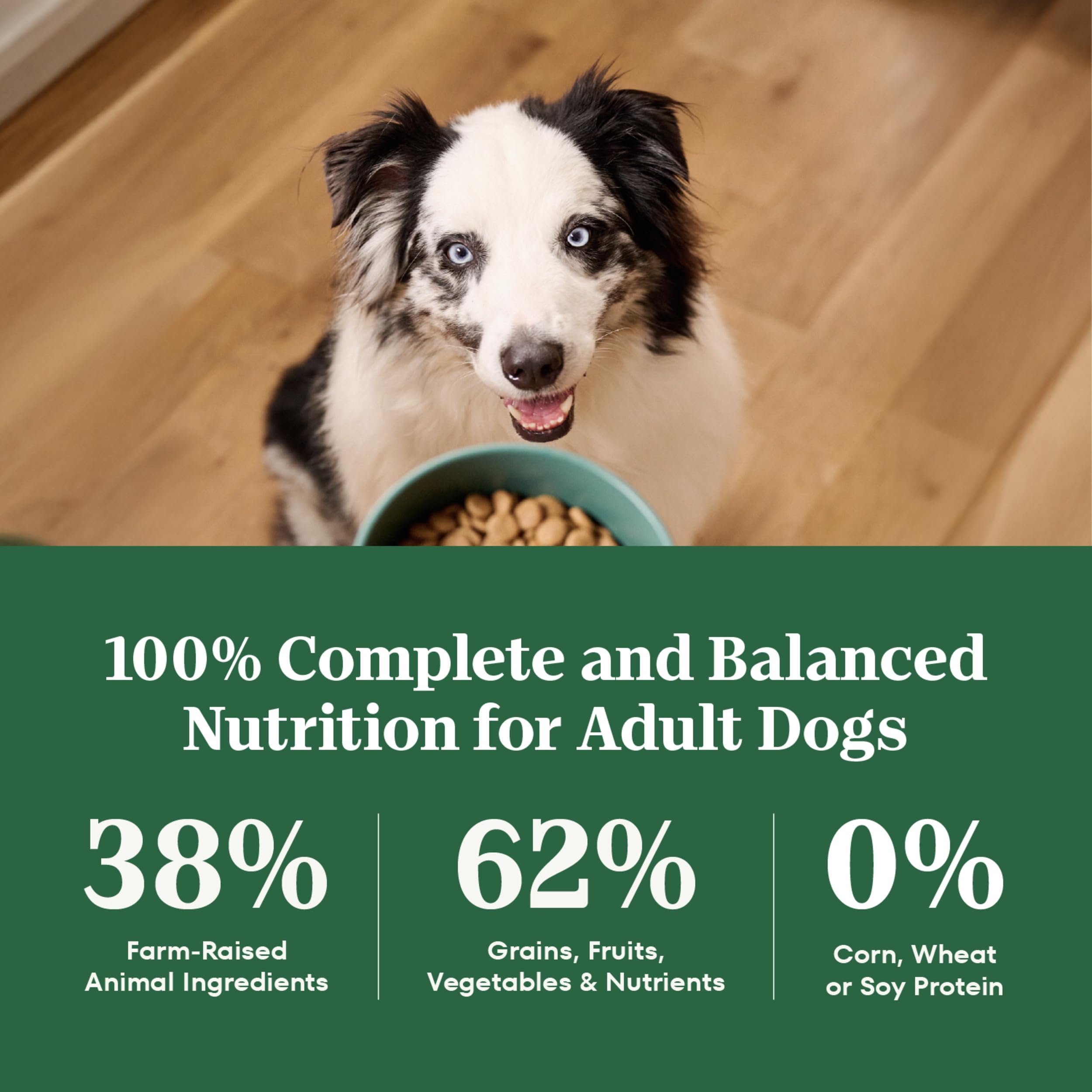 Nutro étiquette indiquant sans maïs, blé ni soja pour transparence
