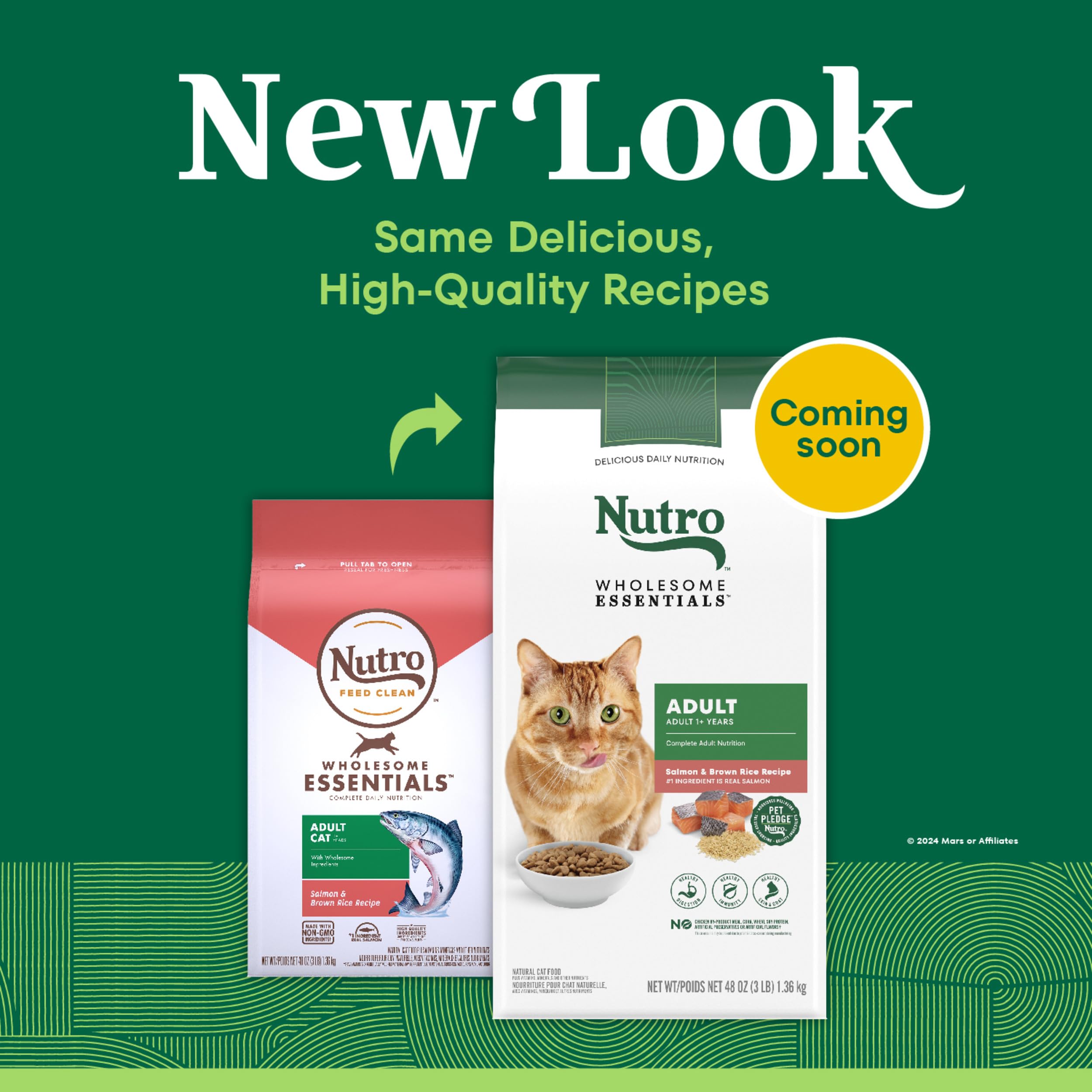 Nutro morceau de saumon frais illustrant protéine principale savoureuse