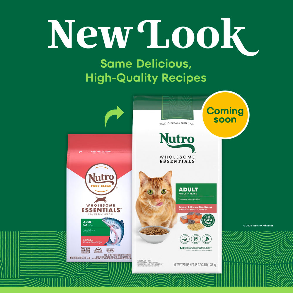Nutro morceau de saumon frais illustrant protéine principale savoureuse