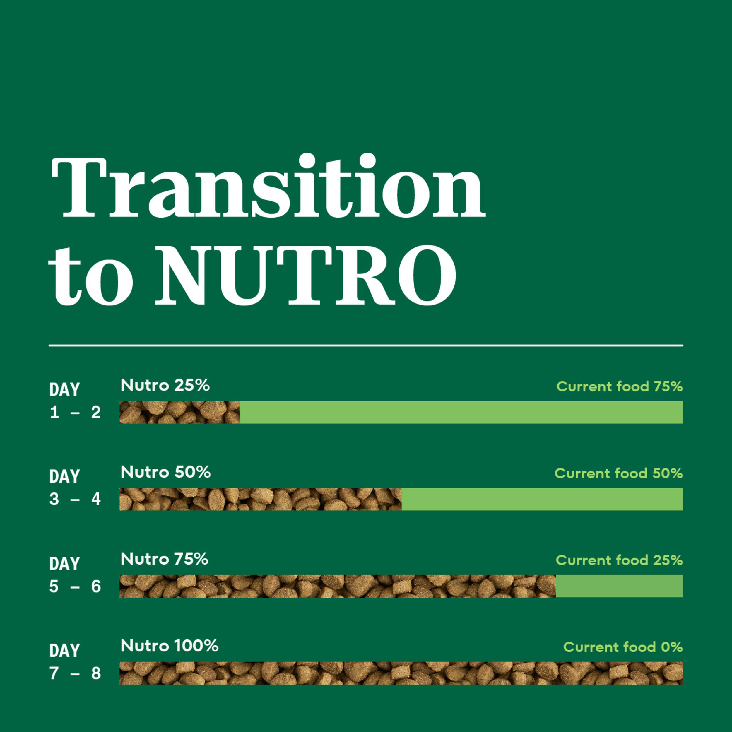 Nutro bowl sur table stylée montrant repas quotidien attrayant