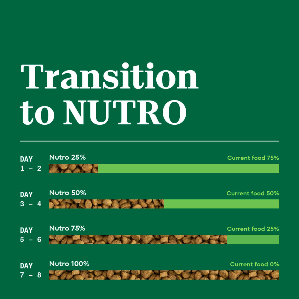 Nutro bowl sur table stylée montrant repas quotidien attrayant