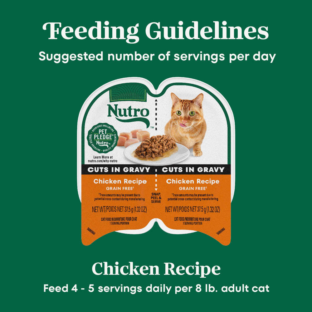 Nutro chat mange à table, acceptation et plaisir du repas