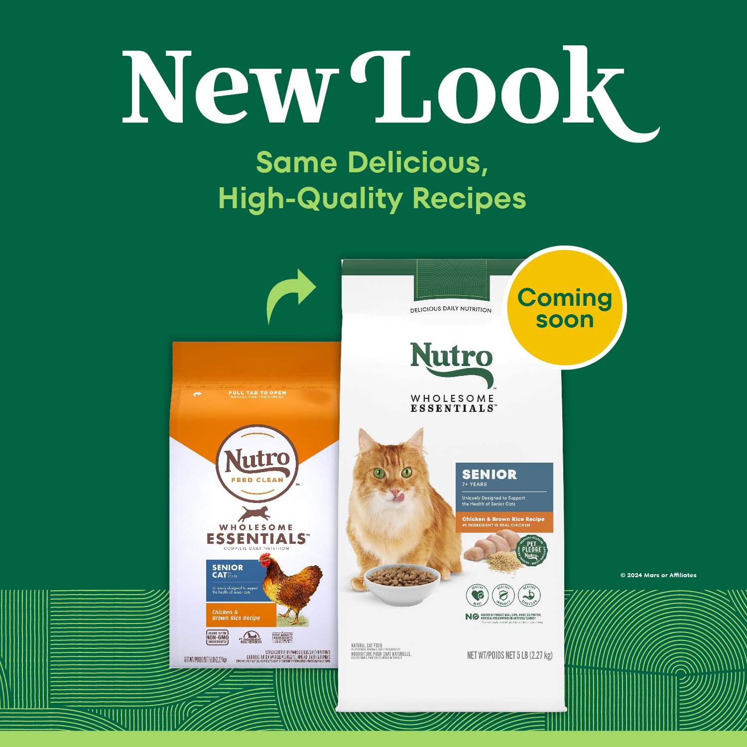 Nutro texture des croquettes met en valeur fermeté et appétence pour seniors