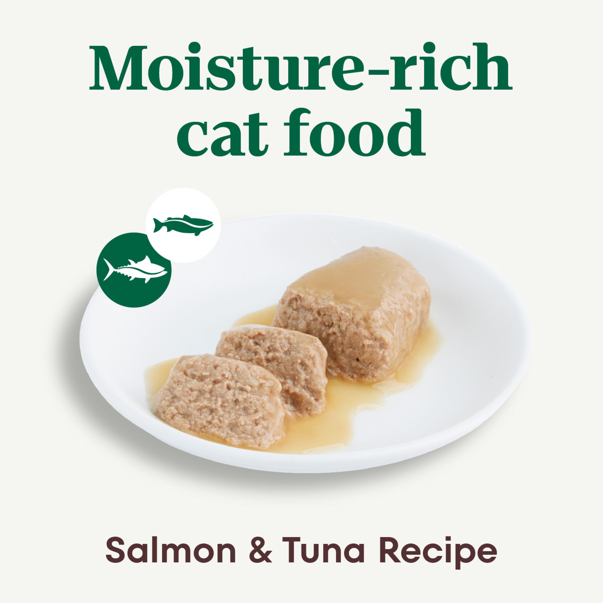 Nutro gros plan texture pâté montrant consistance humide appétissante