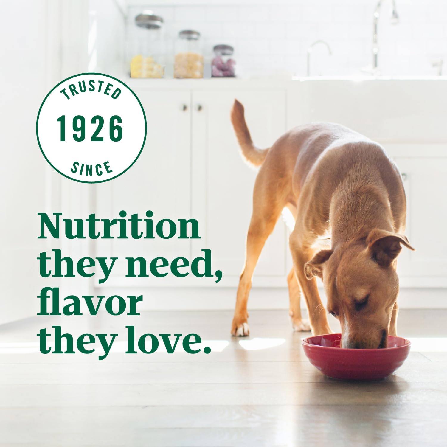 Étiquette nutrition Nutro Ultra montrant ingrédients clés et bénéfices
