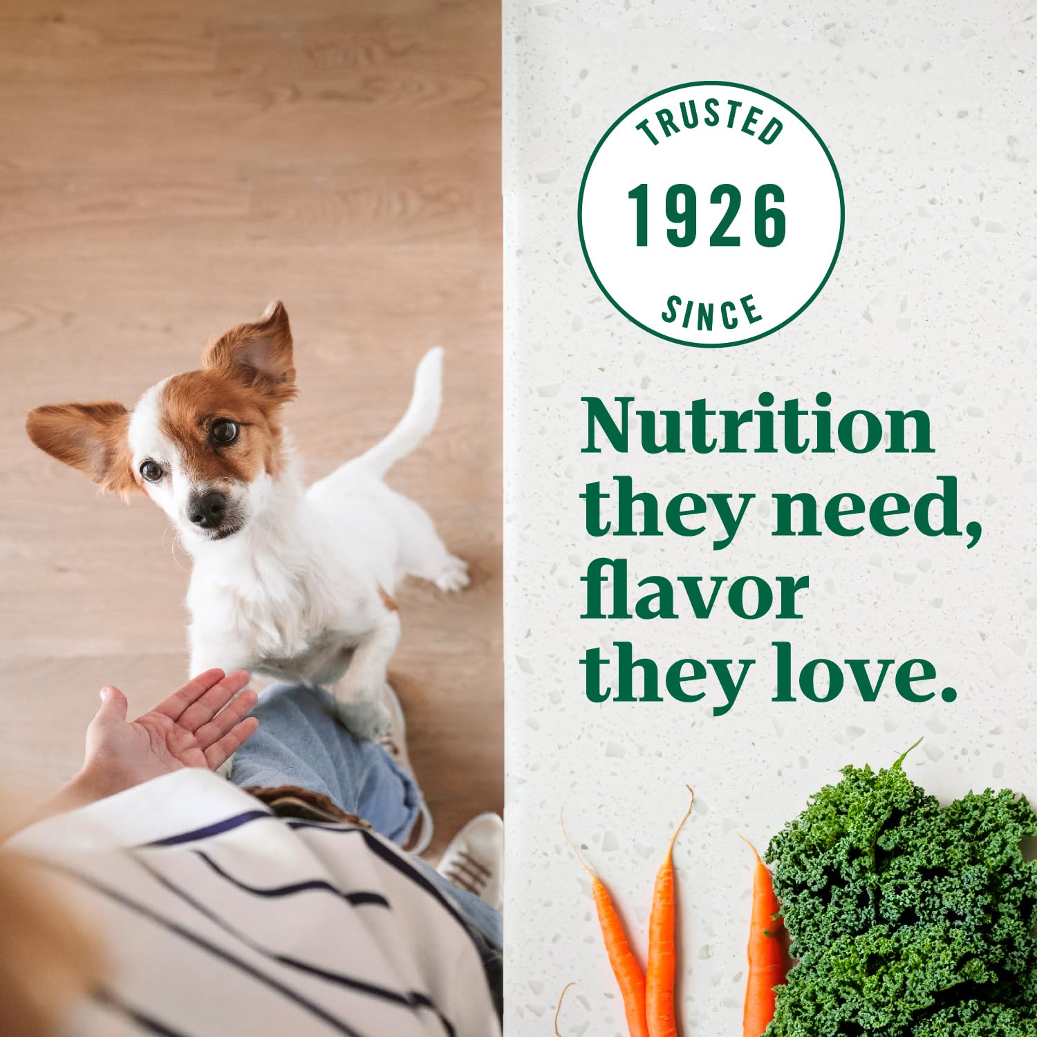 Nutro chien mangeant dans cuisine montrant usage quotidien pratique