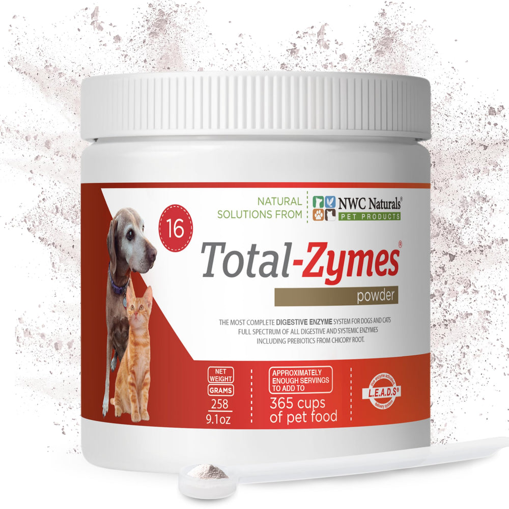 NWC Naturals chat près d’un bol montrant confort digestif et pelage sain