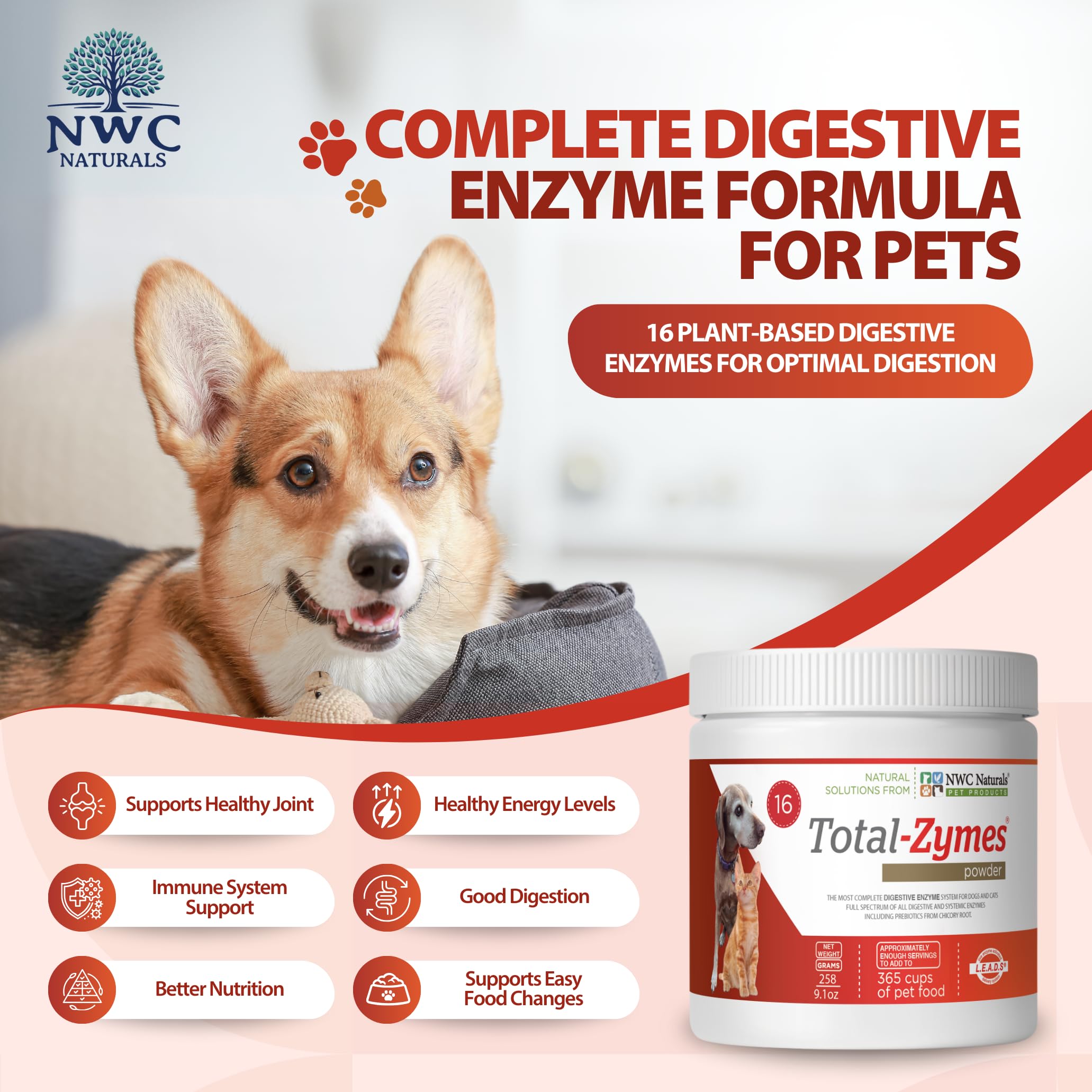 NWC Naturals gros plan sur la poudre montrant la texture fine et l’application facile