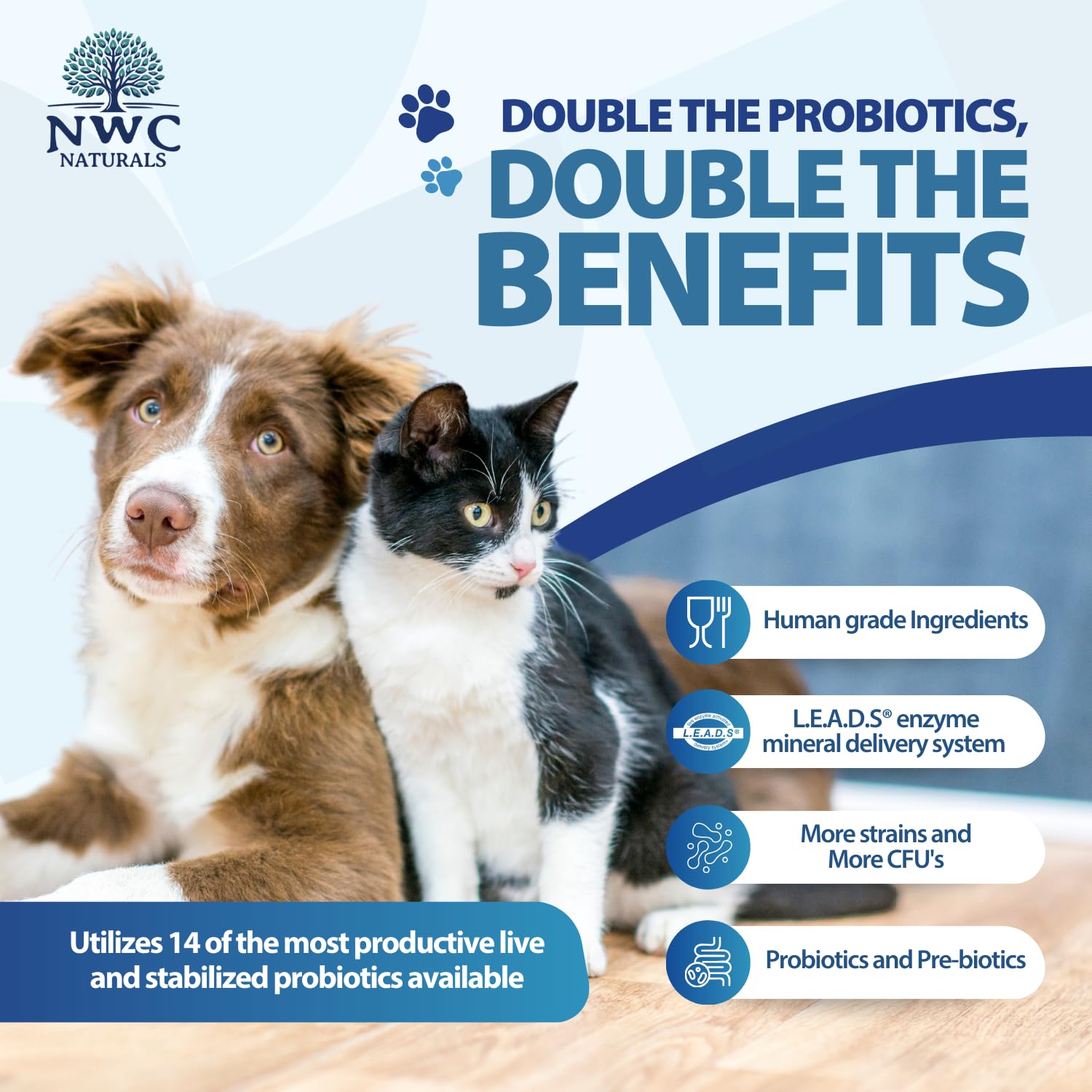 NWC Naturals Total-Biotics cuillère doseuse montrant portion pratique quotidienne