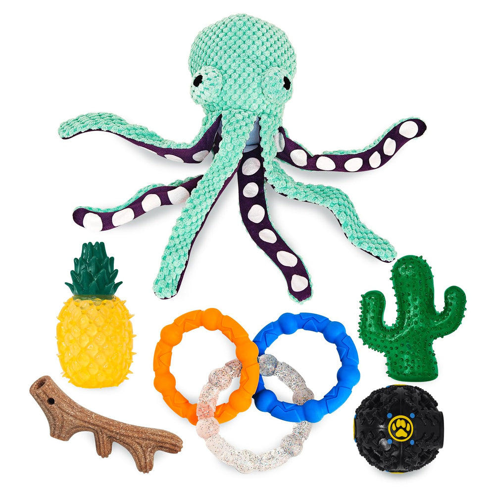 NWK coffret six jouets présenté, variation pour divertissement