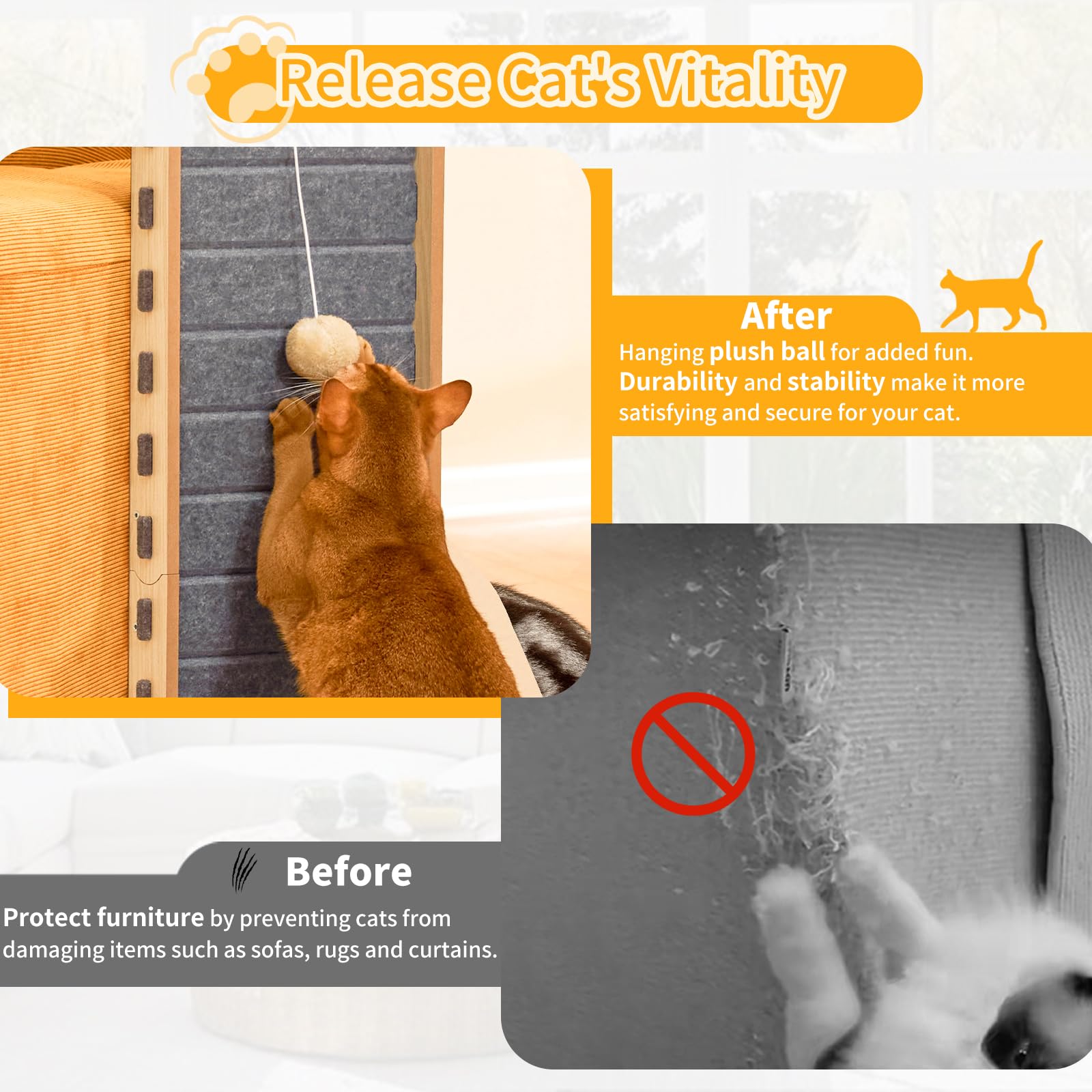 Nxwjoy chat en train de griffer montrant confort et robustesse