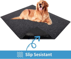 NYFITY tapis placé dans une caisse avec chien pour confort et stabilité