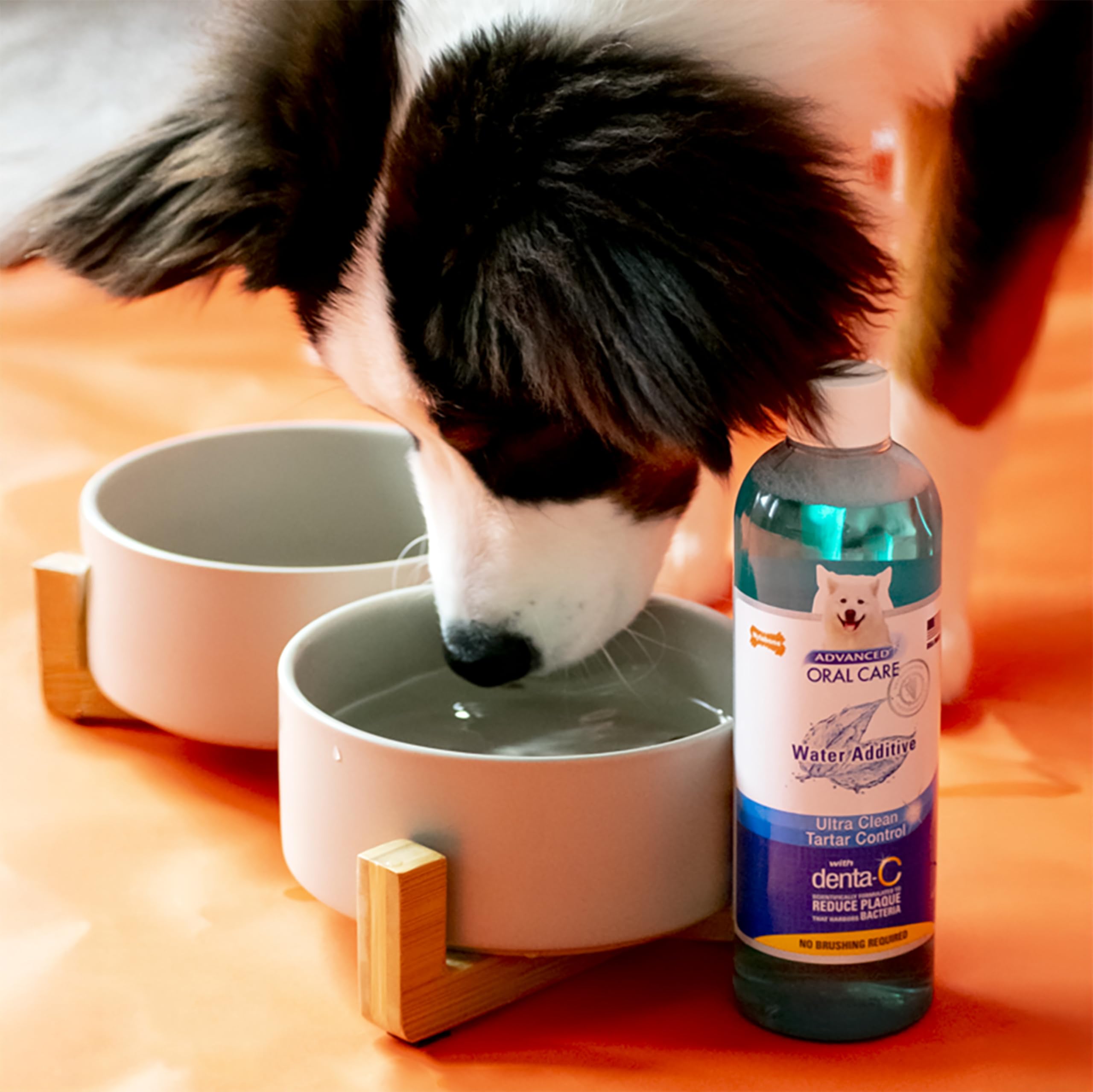 Nylabone bouchon doseur en gros plan pour un dosage précis et facile