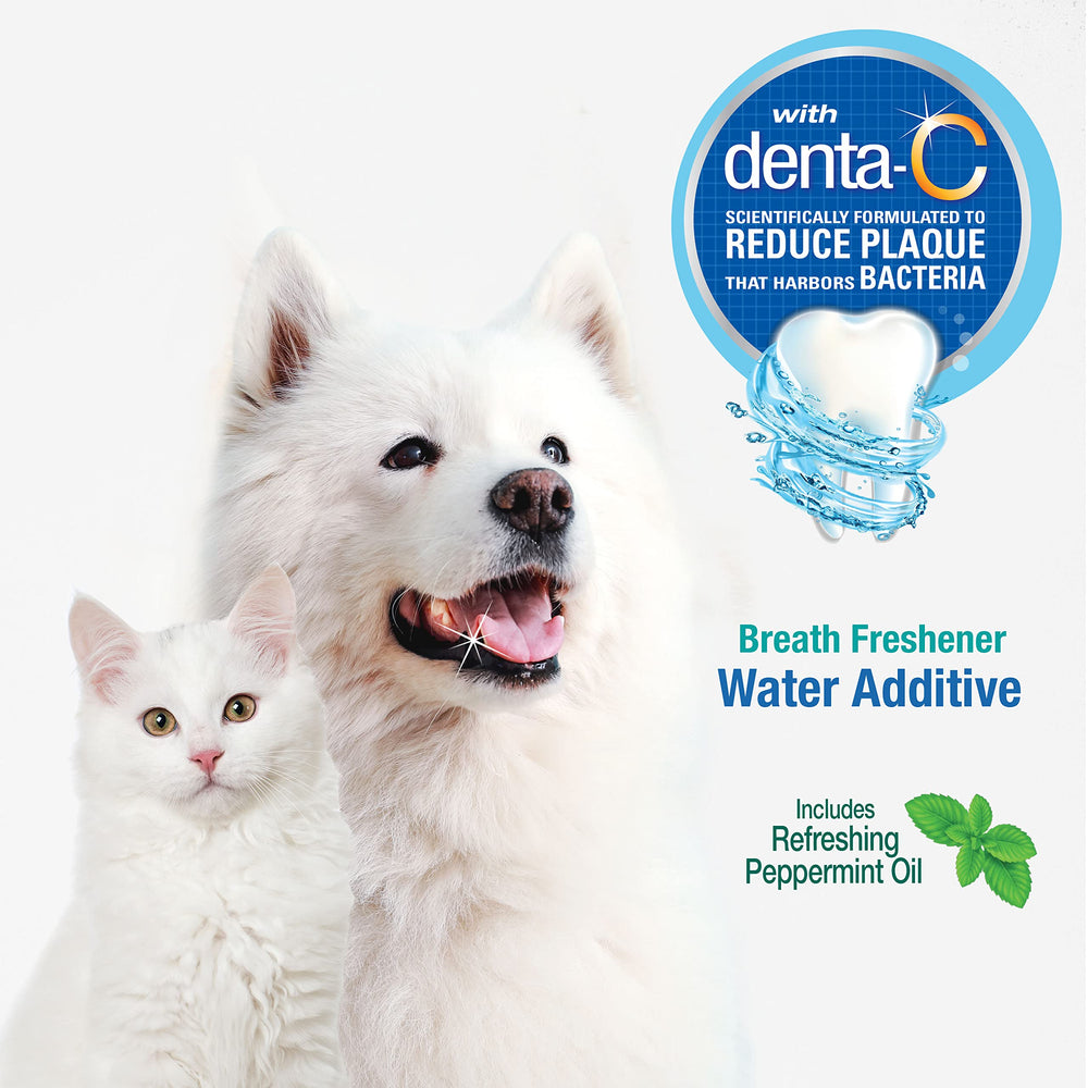 Chien buvant eau traitée Nylabone haleine plus fraîche visible