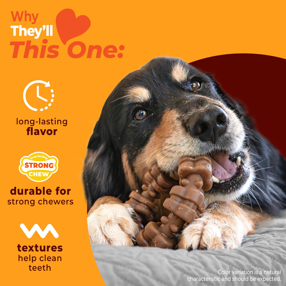 Nylabone anneau en main pour évaluer la taille x-large facilement