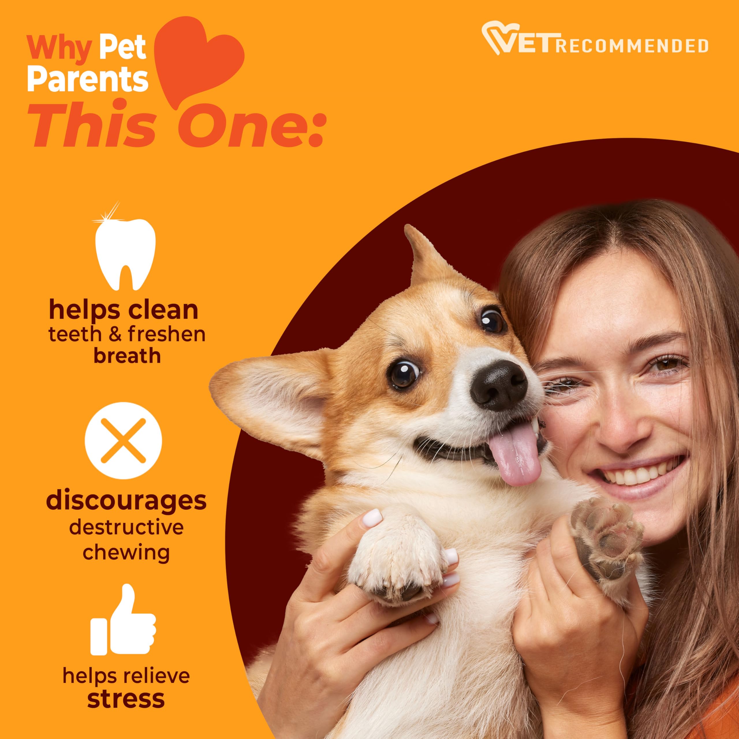 Nylabone packaging et étiquette précisant saveurs bœuf et poulet