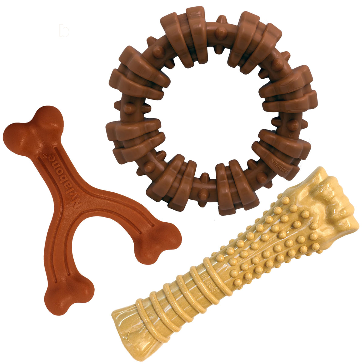 Nylabone anneau texturé montrant textures pour mastication prolongée