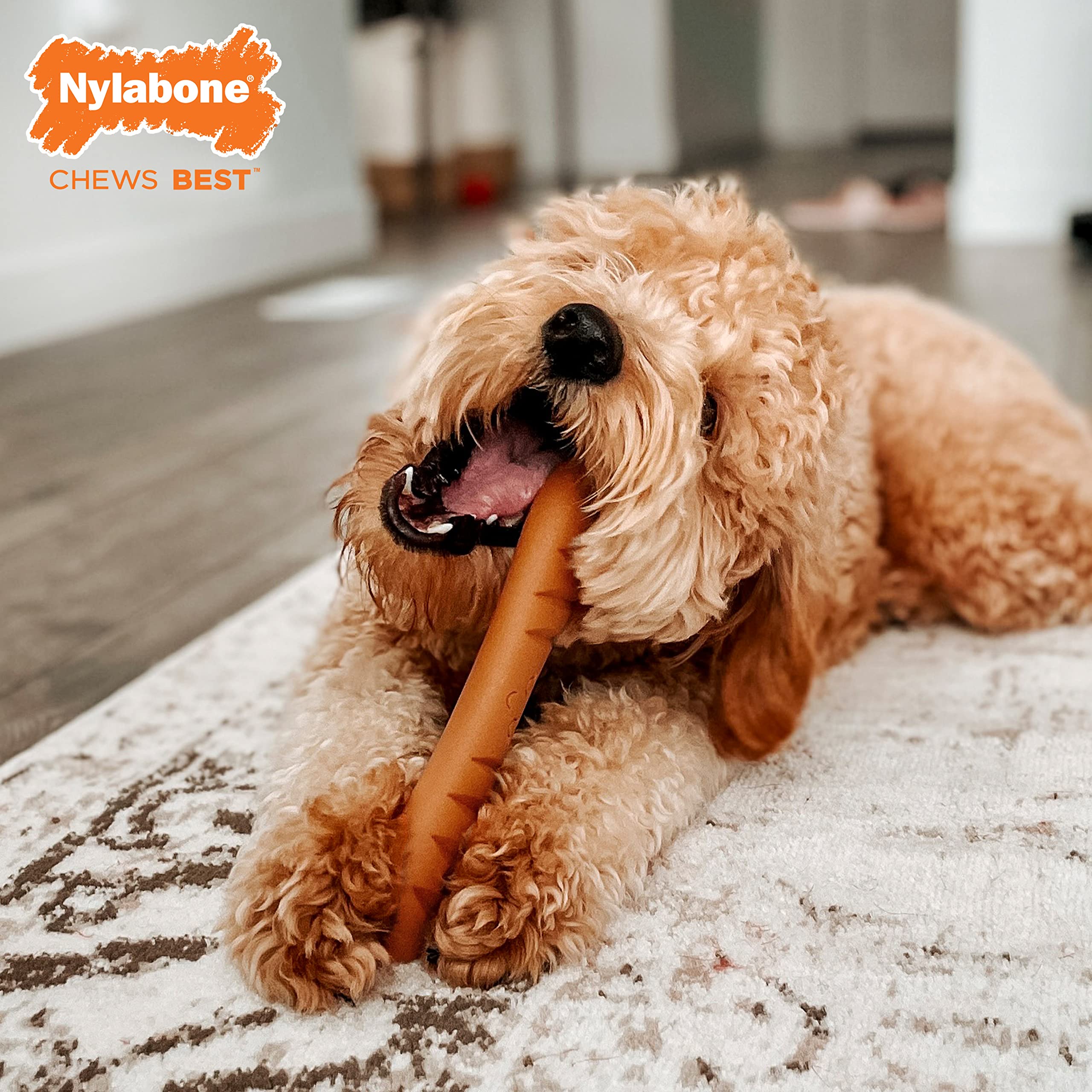 Nylabone vue latérale de la baguette montrant sa forme ergonomique pour mâcher