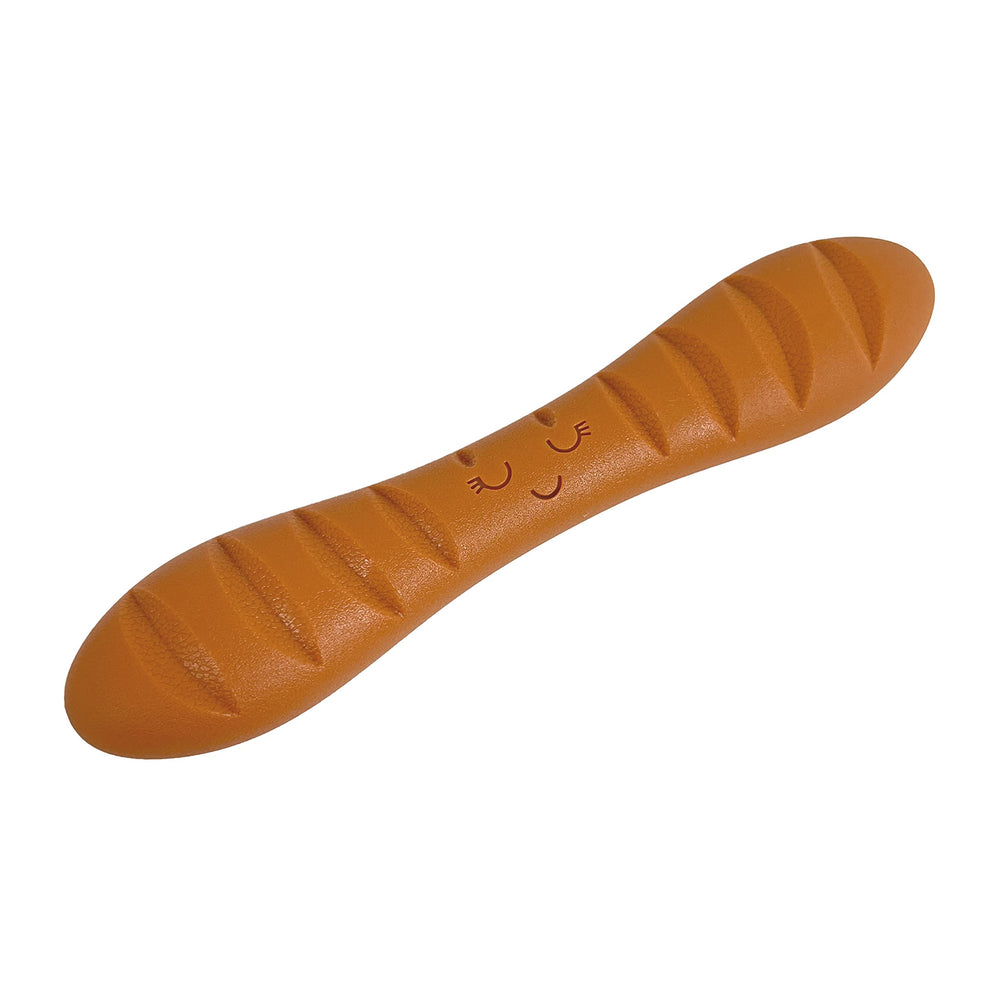 Nylabone packaging avant montrant la baguette résistante et ses caractéristiques pratiques