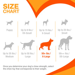 Nylabone bâton tenu en main montre échelle et durabilité