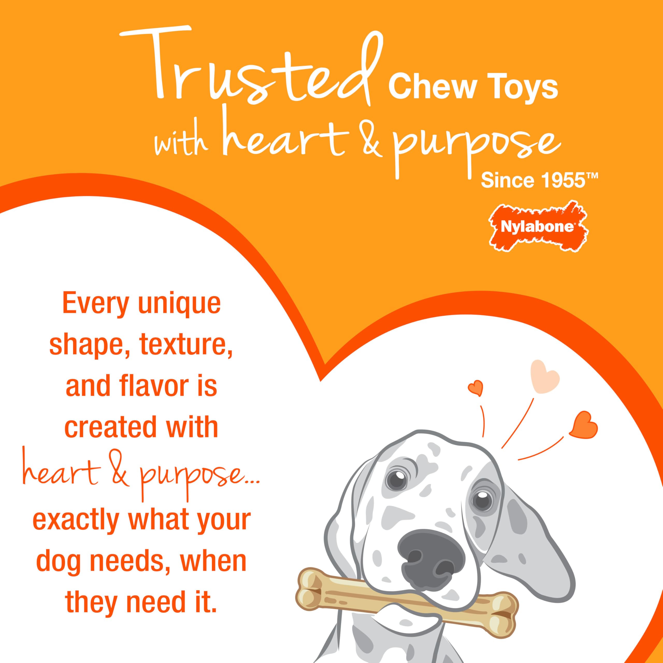 Nylabone packaging indiquant conception et fabrication aux USA