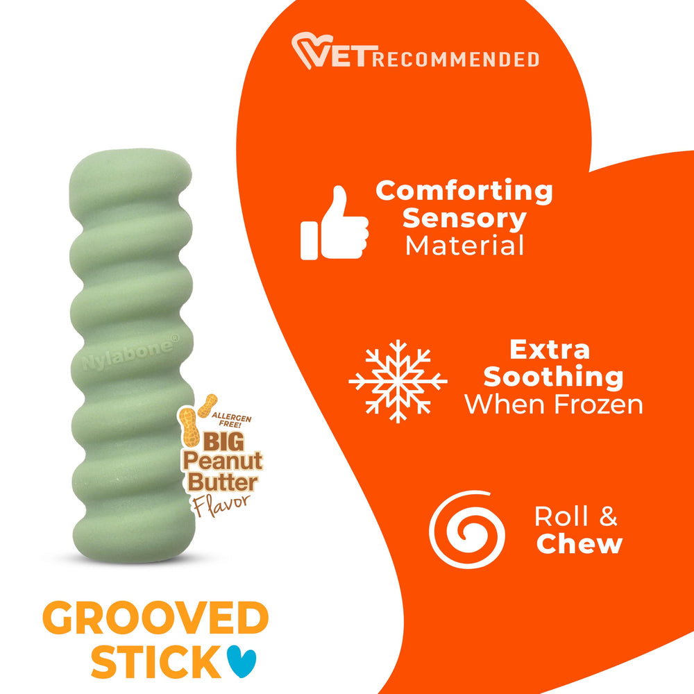 Nylabone chiot jouant avec bâtonnet pour distraction et confort