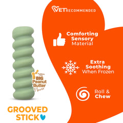 Nylabone chiot jouant avec bâtonnet pour distraction et confort