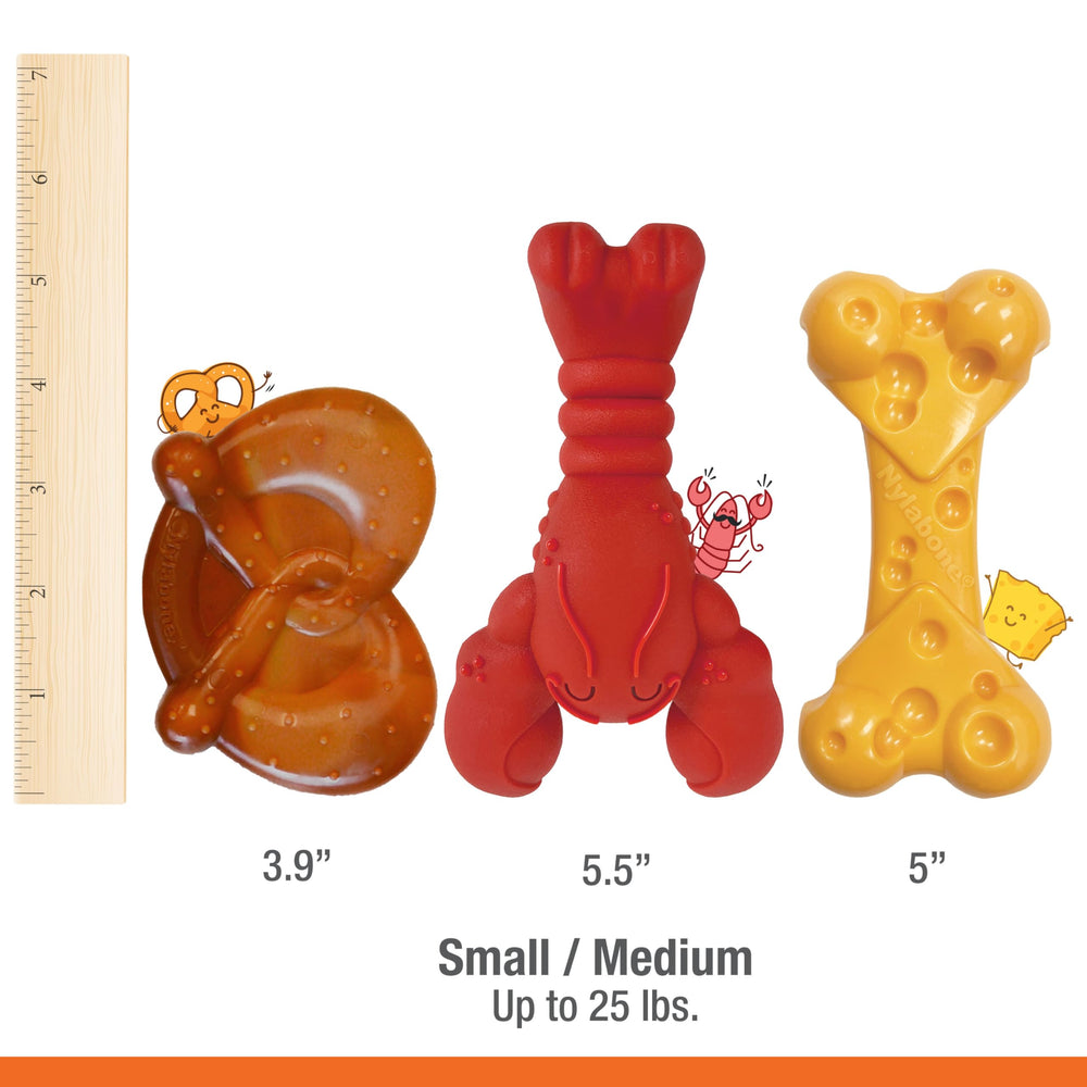 Nylabone forme brocoli facile à tenir aidant préhension du chien