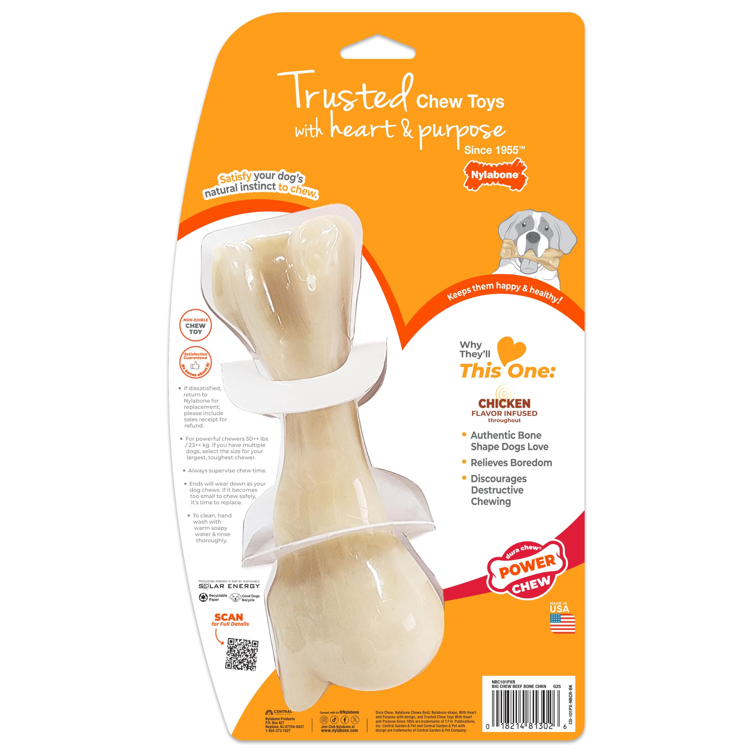 Nylabone posé sur pelouse externe montrant jouet résistant aux sorties