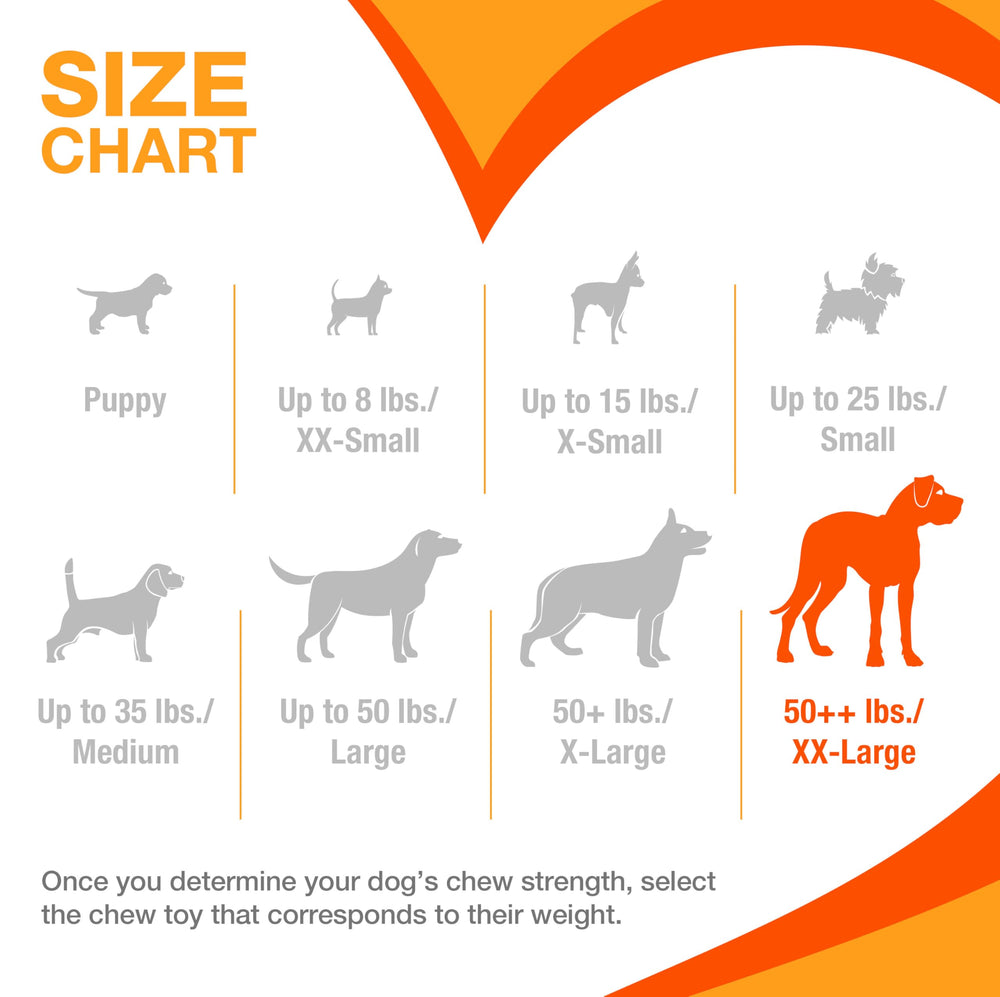 Nylabone surface molaire gros plan pour frottement des dents et réduction plaque