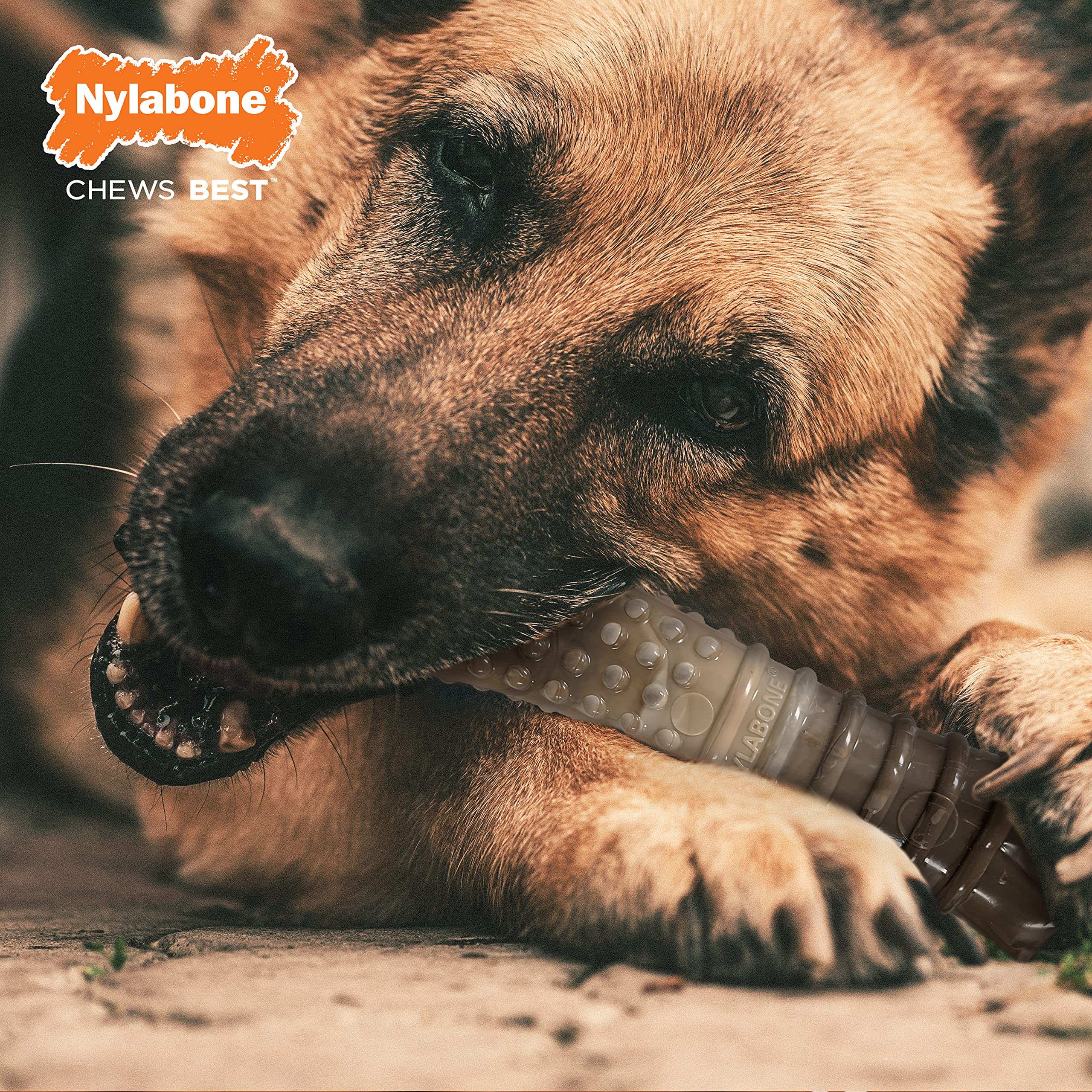 Nylabone jouet utilisé en extérieur pour jeux et stimulation mentale