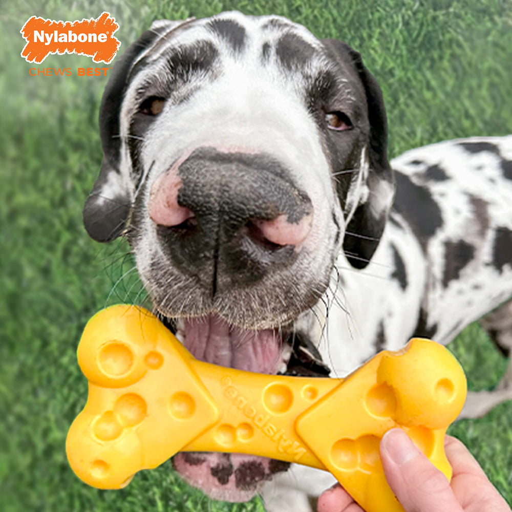 Nylabone jouet sale lavable facilitant entretien et hygiène