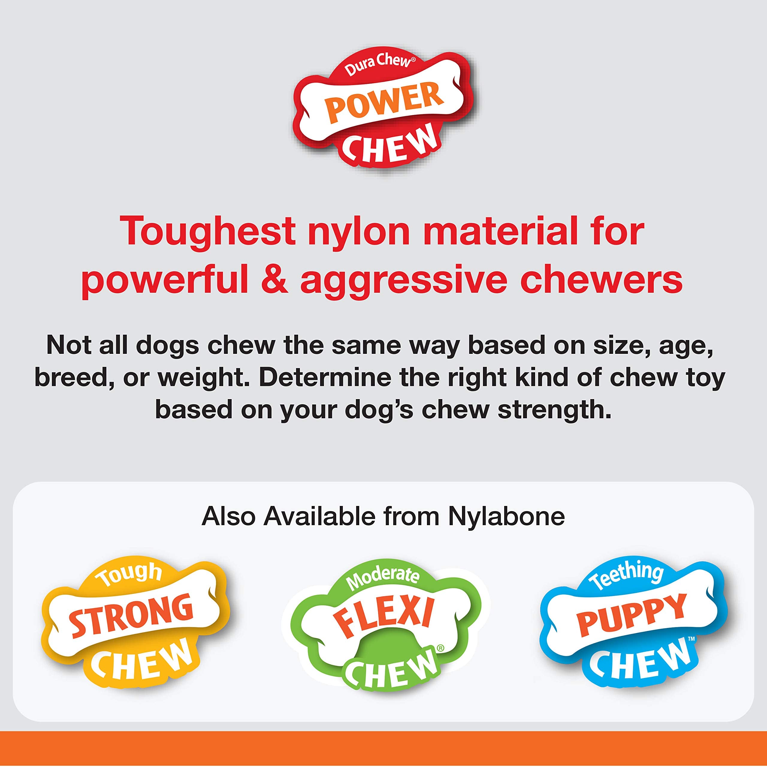 Nylabone chien mâchant en extérieur, réduit ennui et comportements destructeurs