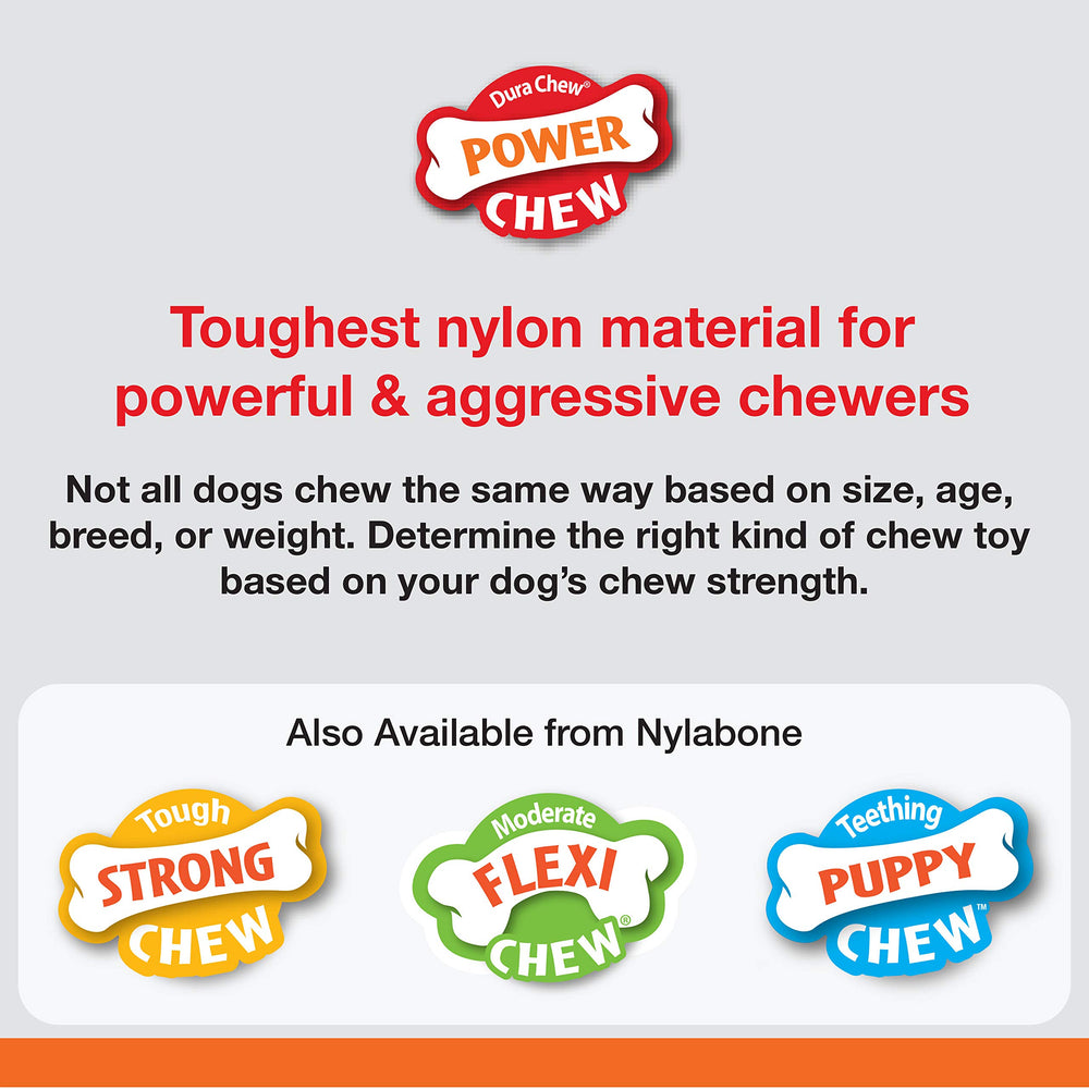 Nylabone chien mâchant en extérieur, réduit ennui et comportements destructeurs